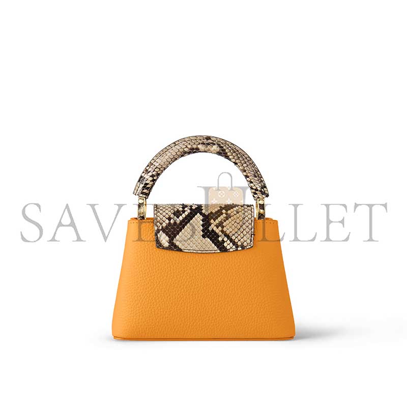 LOUIS VUITTON CAPUCINES MINI N81410 (21*14*6cm) 